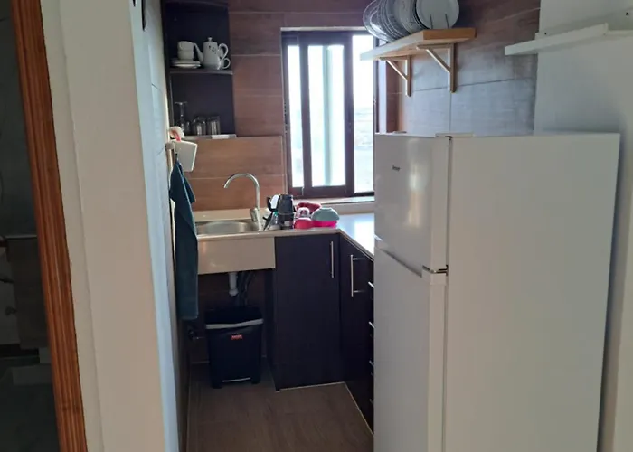 Loft's *